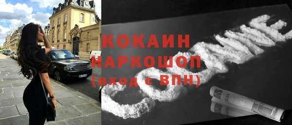 стафф Корсаков