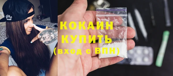 стафф Корсаков