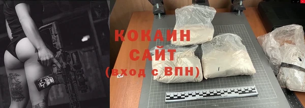 стафф Корсаков