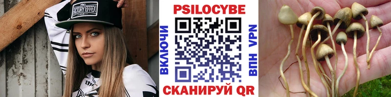 Псилоцибиновые грибы Psilocybine cubensis  Купить закладки  Белебей 